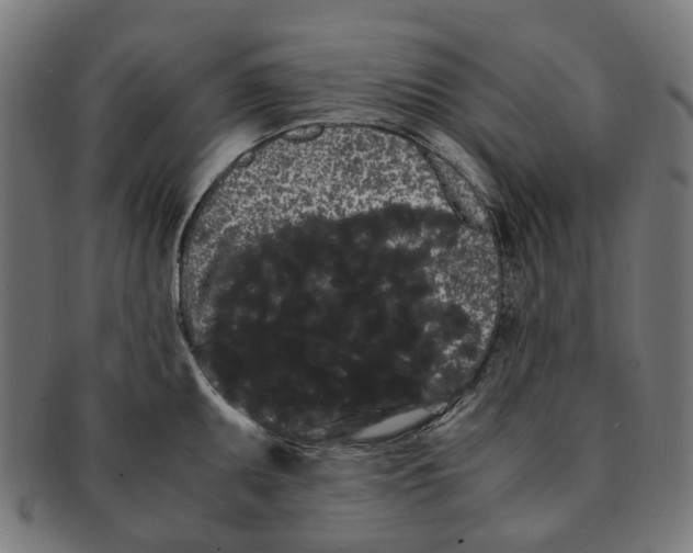 X0000091241095200709061535