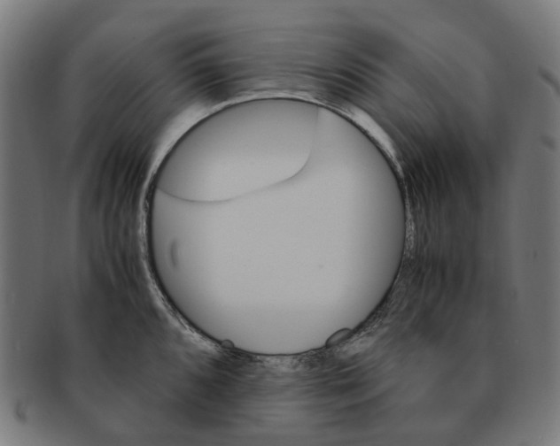 X0000091241096200709061534