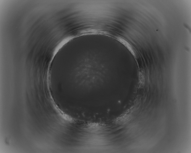 X0000091241098200709061534