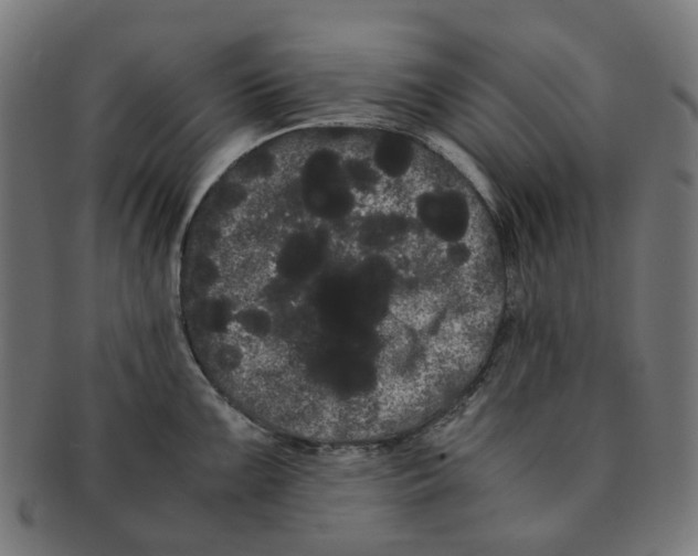 X0000091241099200709061534