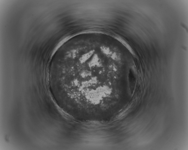 X0000091241101200709061534
