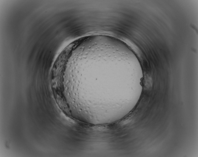 X0000091241102200709061534