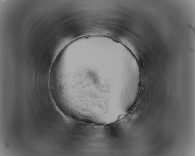 X0000091241103200709061534