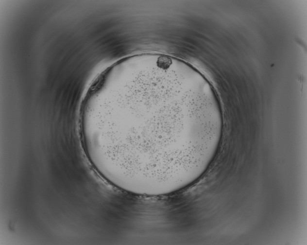 X0000091241104200709061534