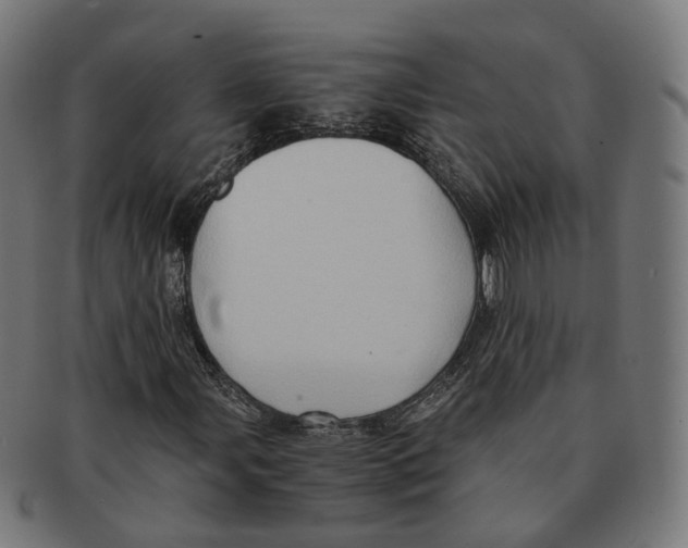 X0000091241107200709061534