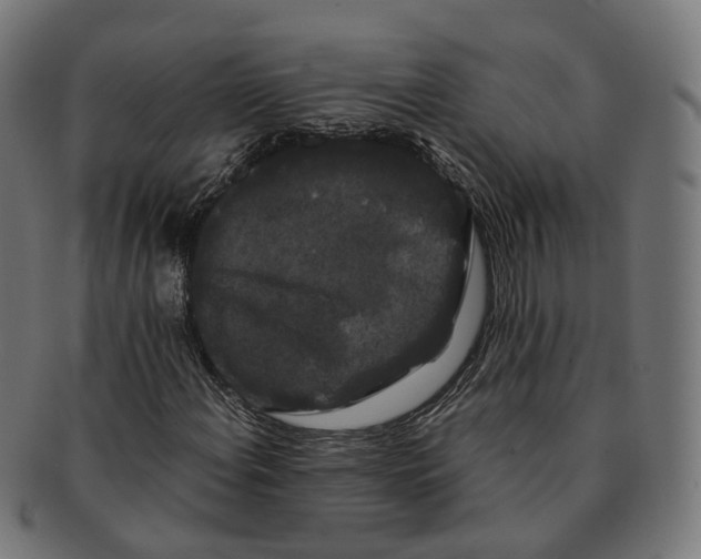 X0000091241108200709061534