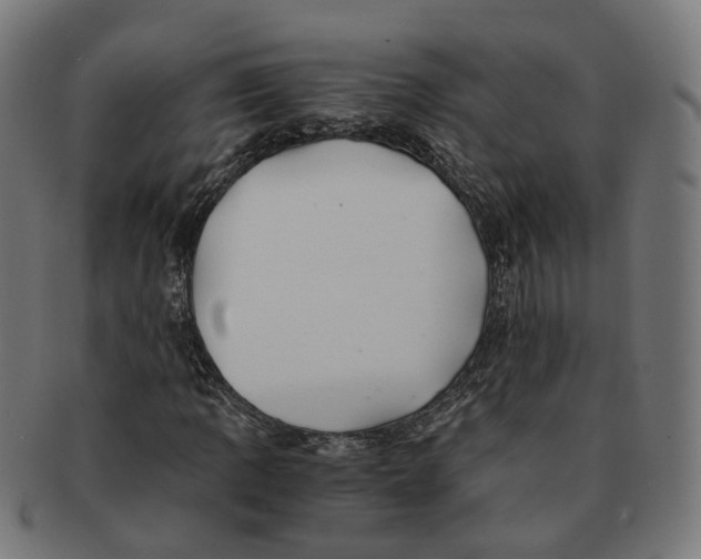 X0000091241109200709061534