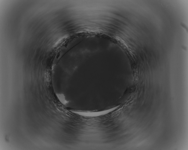 X0000091241110200709061534