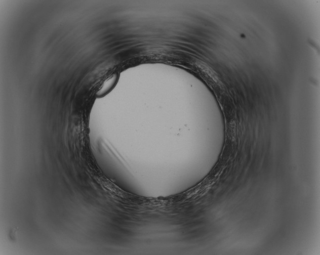 X0000091241111200709061534