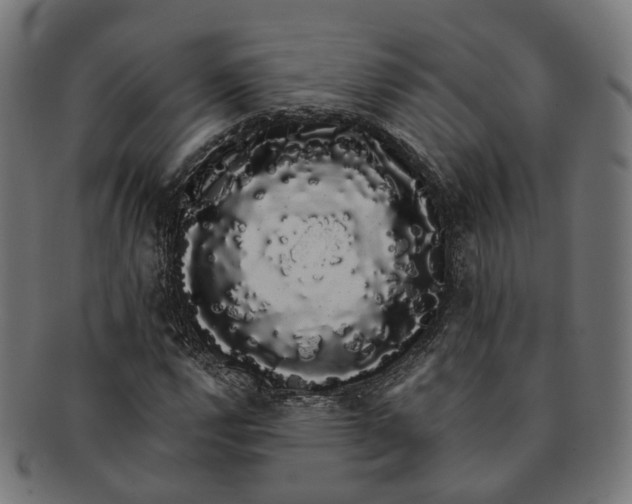 X0000091241112200709061534