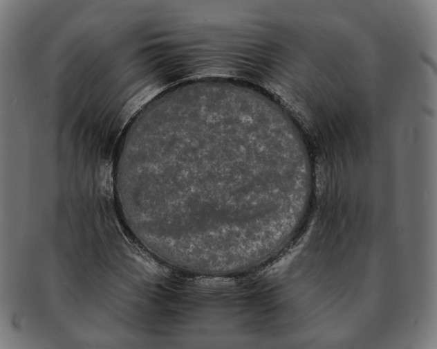 X0000091241113200709061534