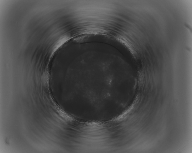 X0000091241114200709061534