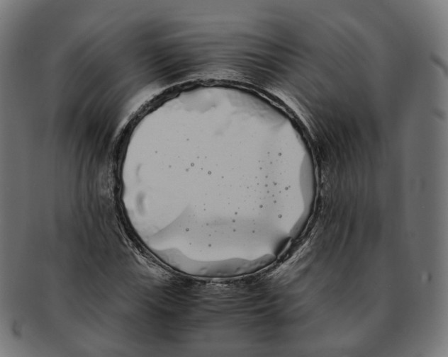 X0000091241115200709061534