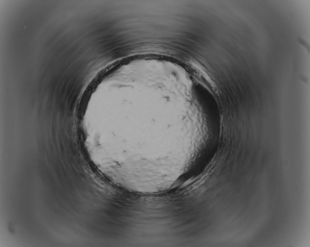 X0000091241116200709061534