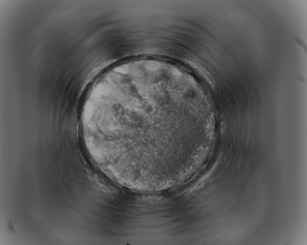 X0000091241117200709061534
