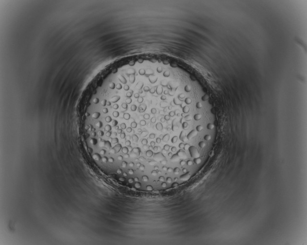 X0000091241118200709061534
