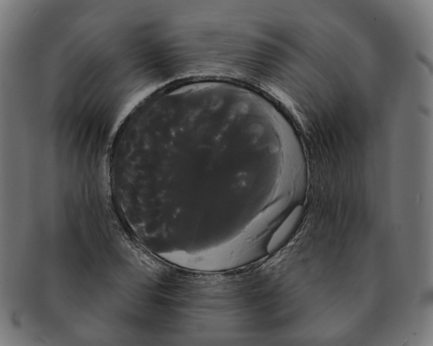 X0000091241120200709061534