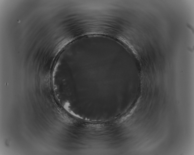 X0000091241121200709061534