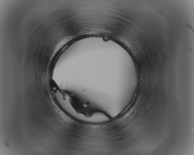 X0000091241122200709061534