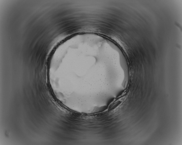 X0000091241123200709061534