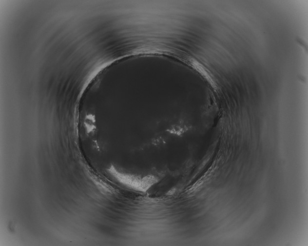 X0000091241124200709061534