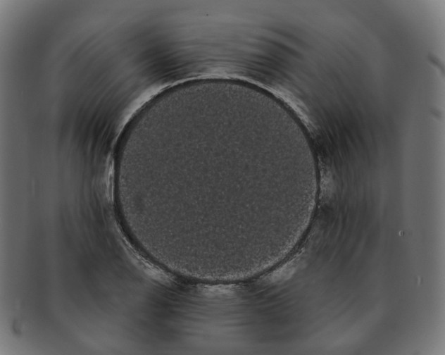 X0000091241126200709061534