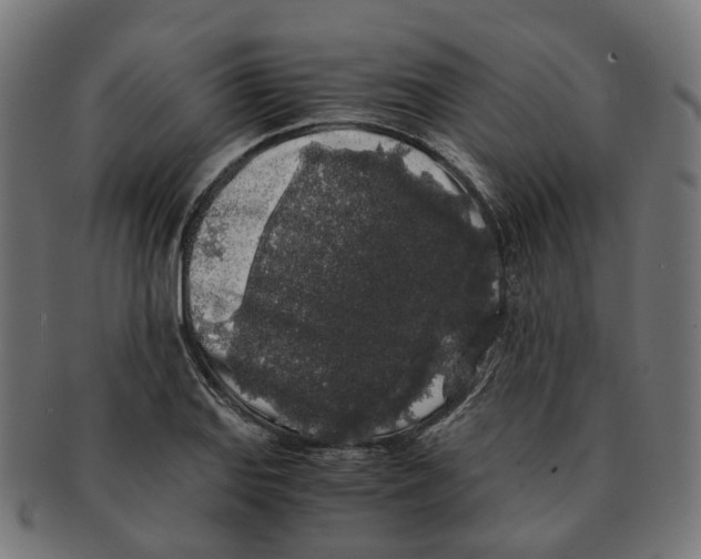 X0000091241127200709061534