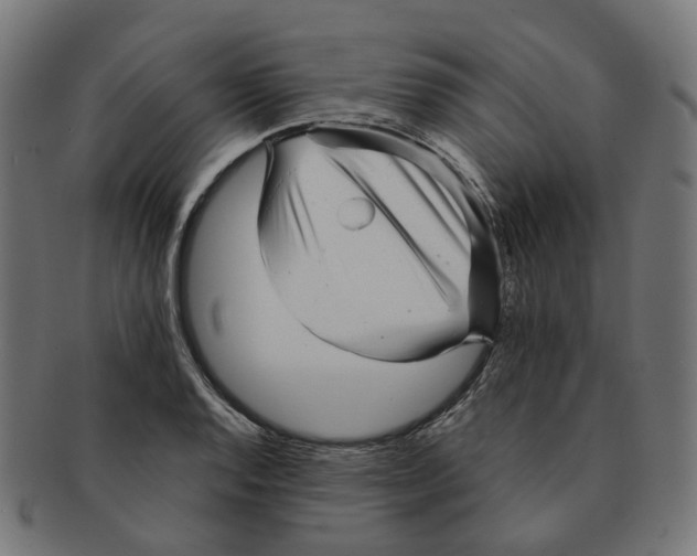 X0000091241128200709061534