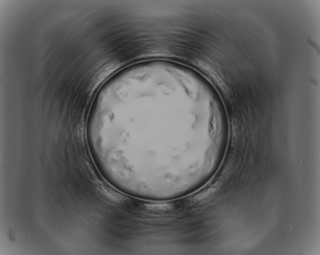 X0000091241129200709061534