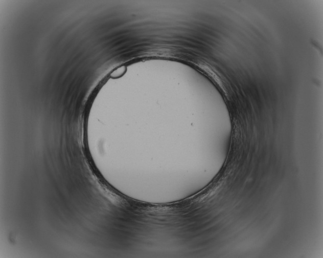 X0000091241131200709061534