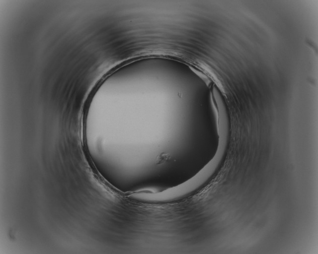 X0000091241132200709061534