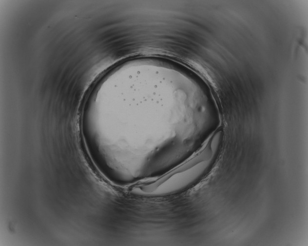 X0000091241133200709061534