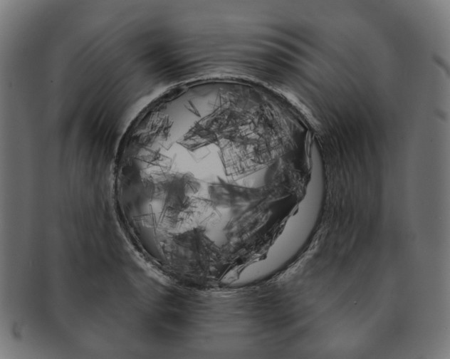 X0000091241134200709061534