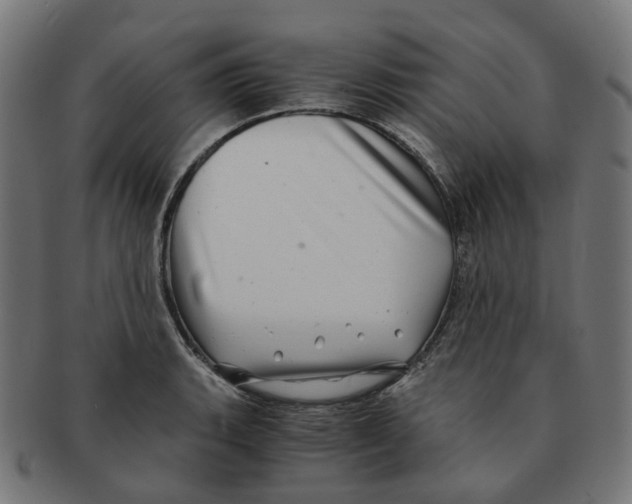 X0000091241135200709061534