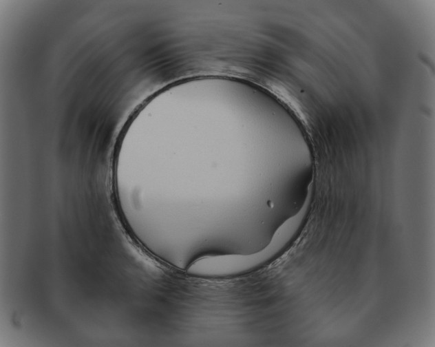 X0000091241136200709061534
