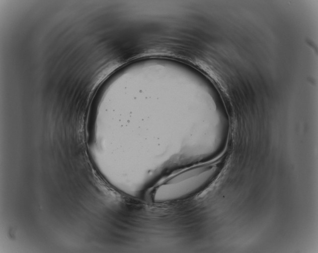 X0000091241137200709061534