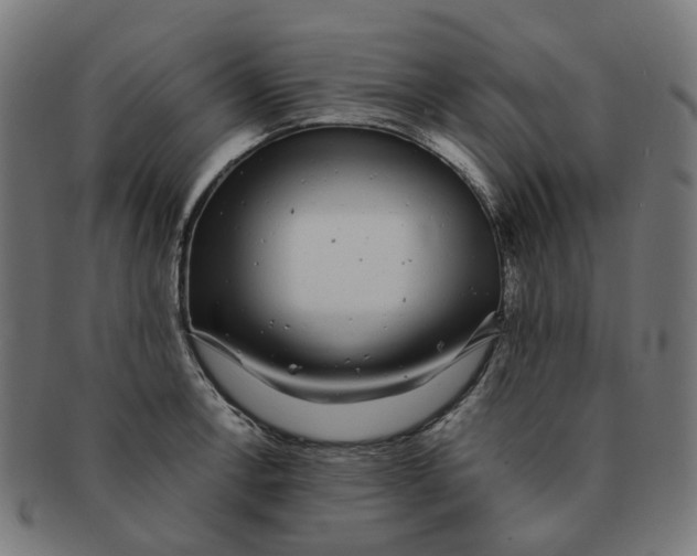 X0000091241138200709061534