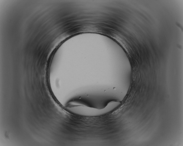 X0000091241139200709061534