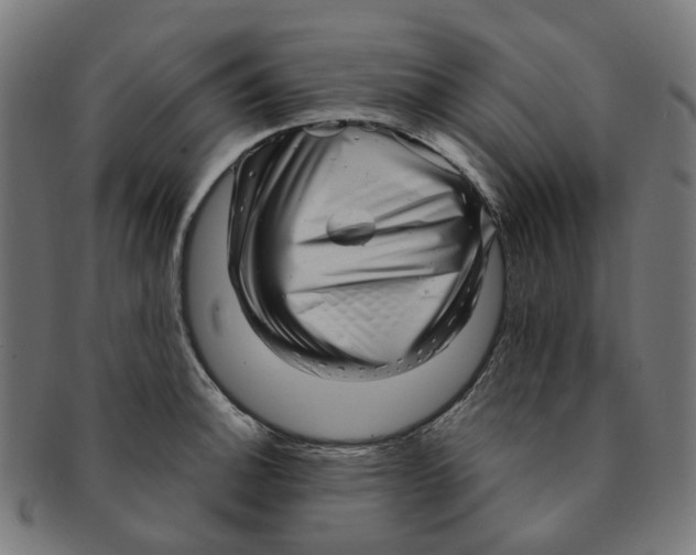 X0000091241140200709061534
