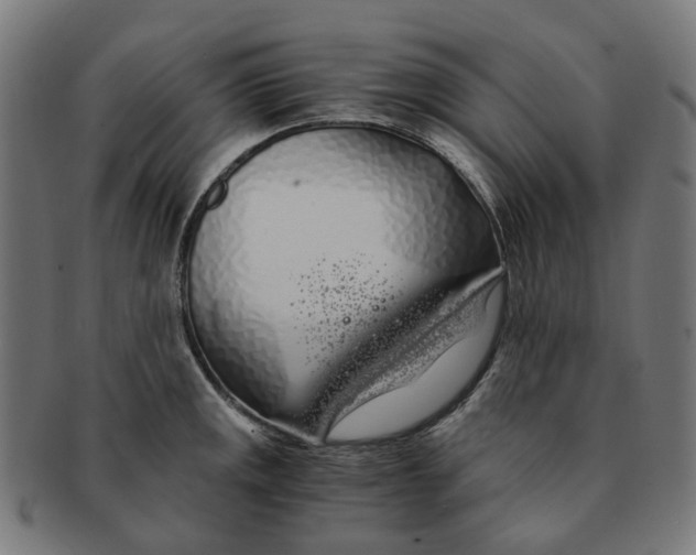 X0000091241141200709061534