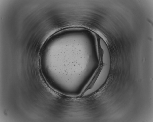 X0000091241142200709061534