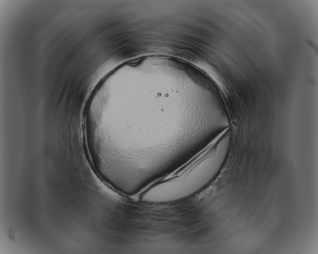 X0000091241143200709061534
