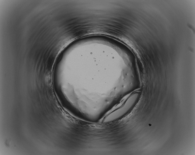 X0000091241145200709061534