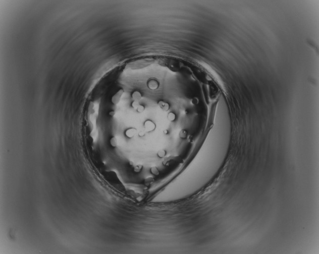 X0000091241146200709061534