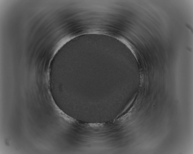 X0000091241147200709061534