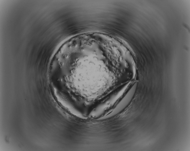 X0000091241148200709061534