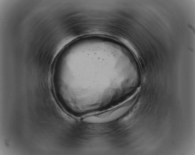 X0000091241149200709061534