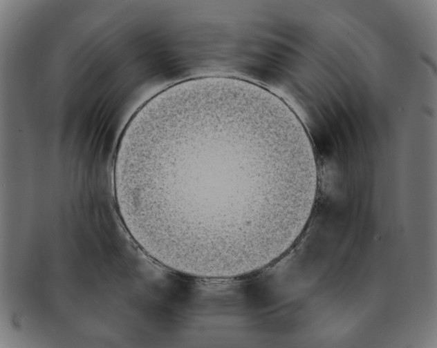 X0000091241150200709061534