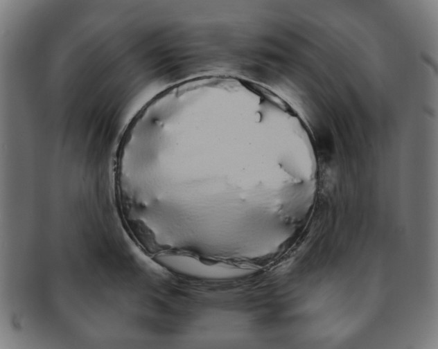 X0000091241151200709061534