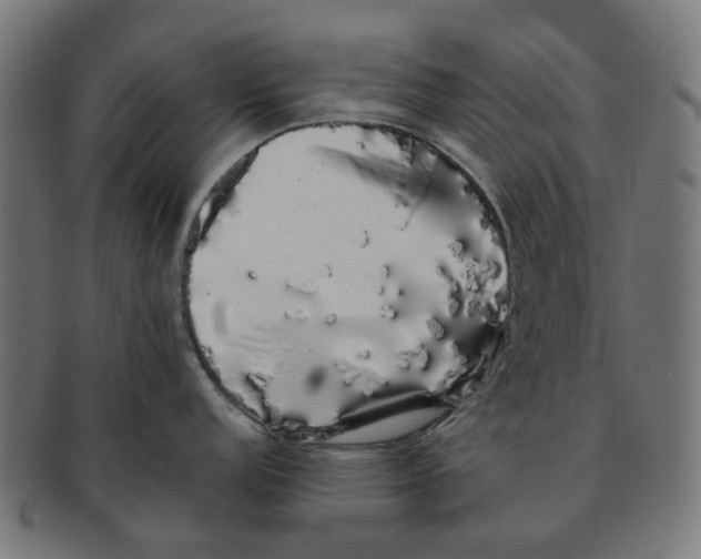 X0000091241152200709061534